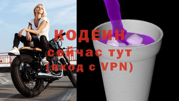 PSILOCYBIN Вяземский