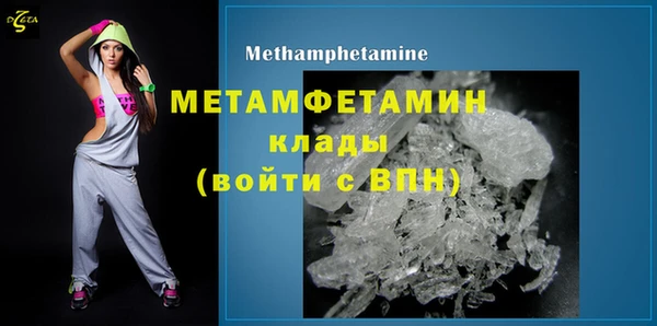 PSILOCYBIN Вяземский