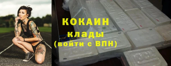 PSILOCYBIN Вяземский