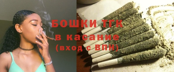 PSILOCYBIN Вяземский