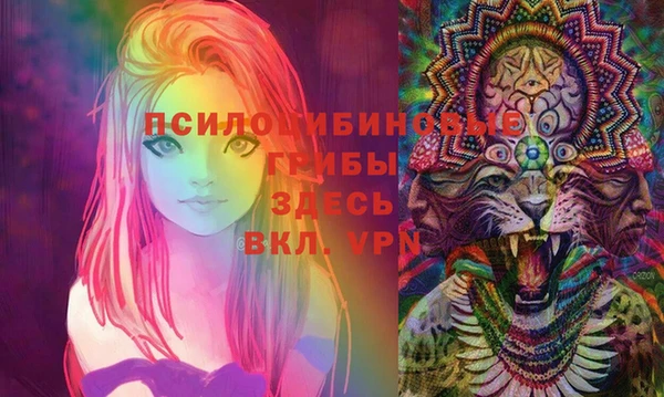 PSILOCYBIN Вяземский